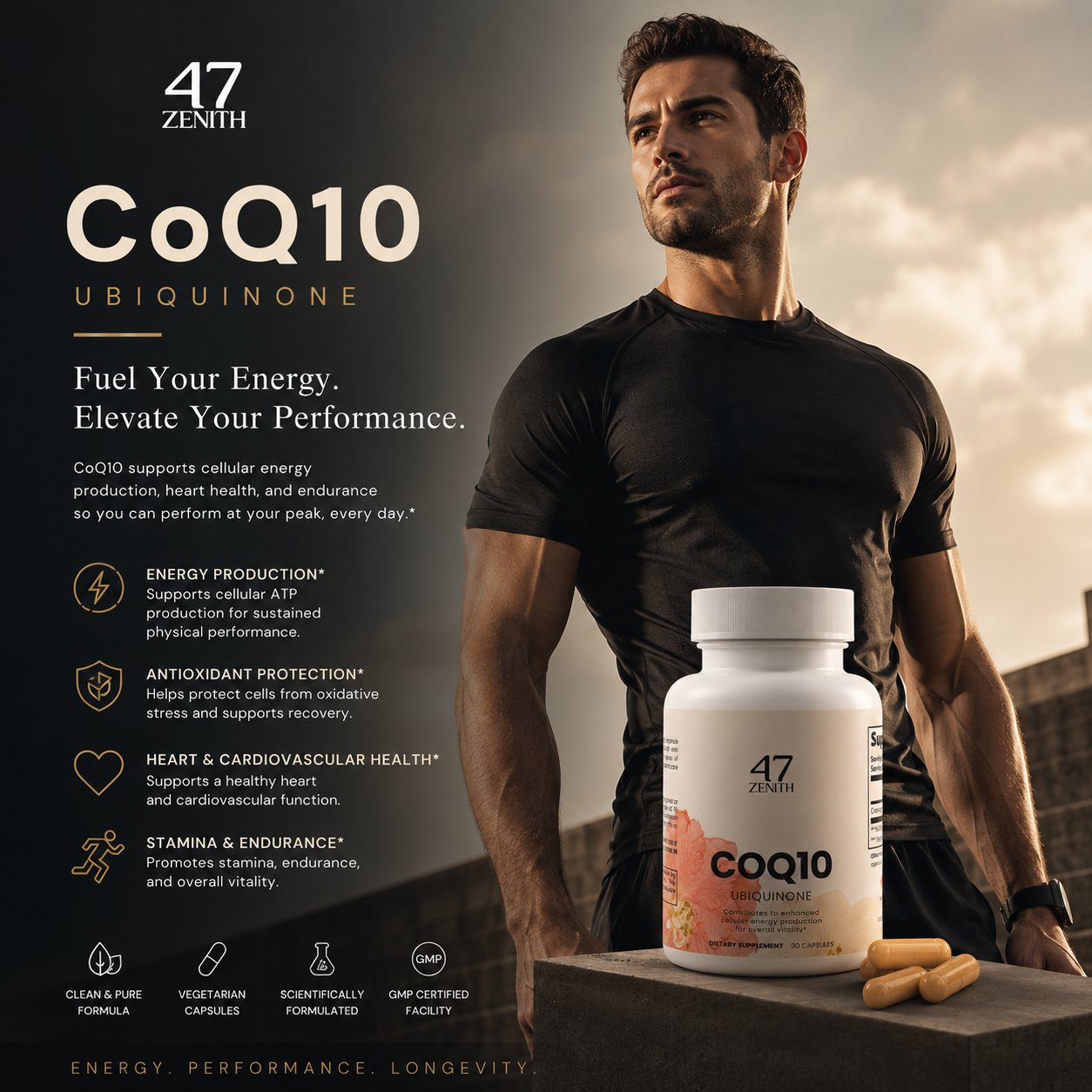 CoQ10 Ubiquinone