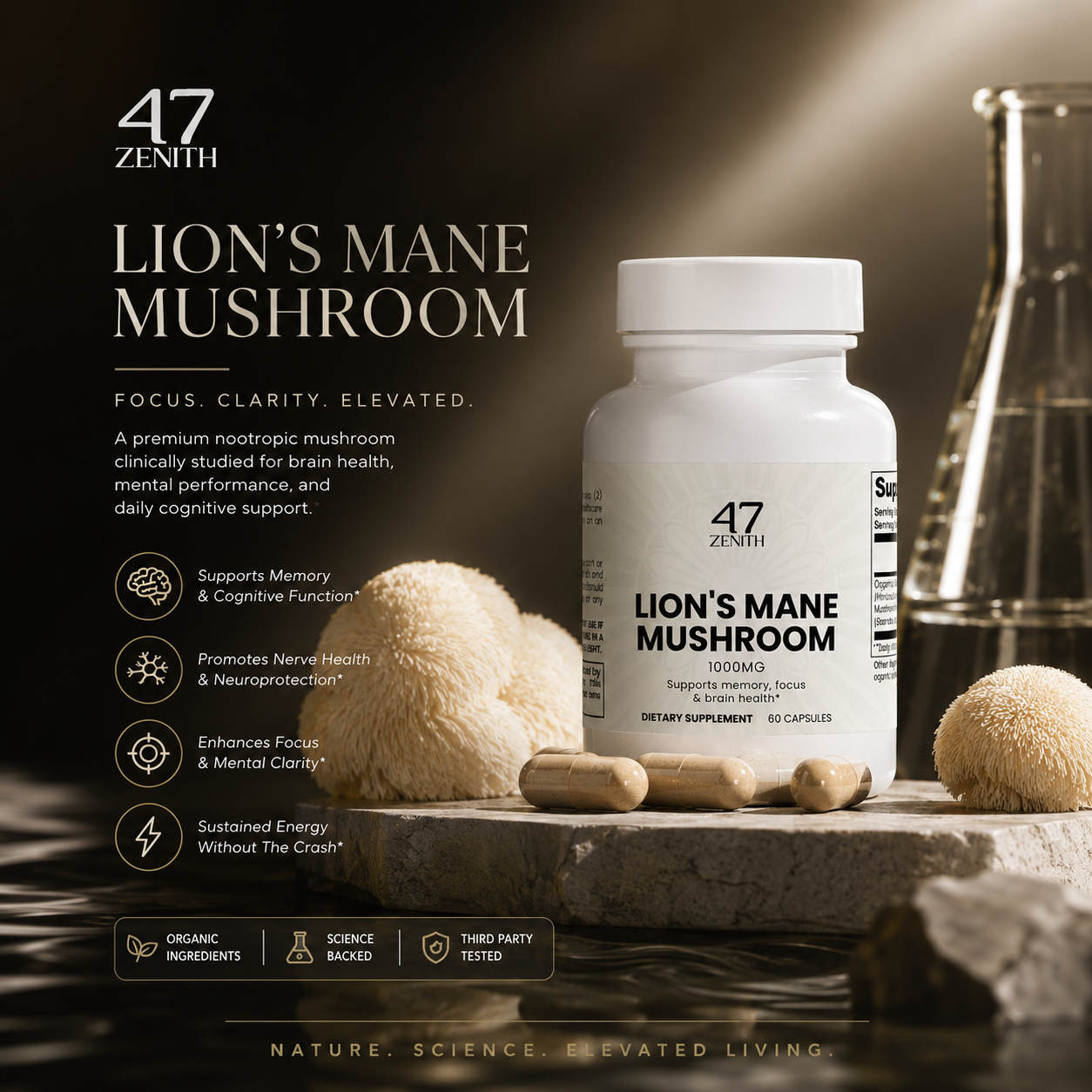 Lion's Mane Mushroom
